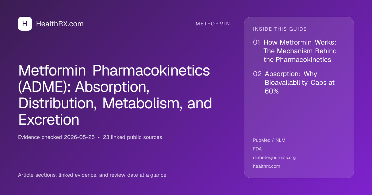 Evidence overview for Metformin Pharmacokinetics (ADME): Absorption, Distribution, Metabolism, and Excretion
